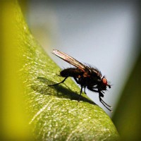 /album/candwinalink/photolia-a04-jpg/