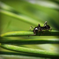 /album/candwinalink/photolia-a05-jpg/