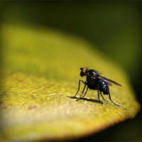 /album/candwinalink/photolia-a07-jpg/